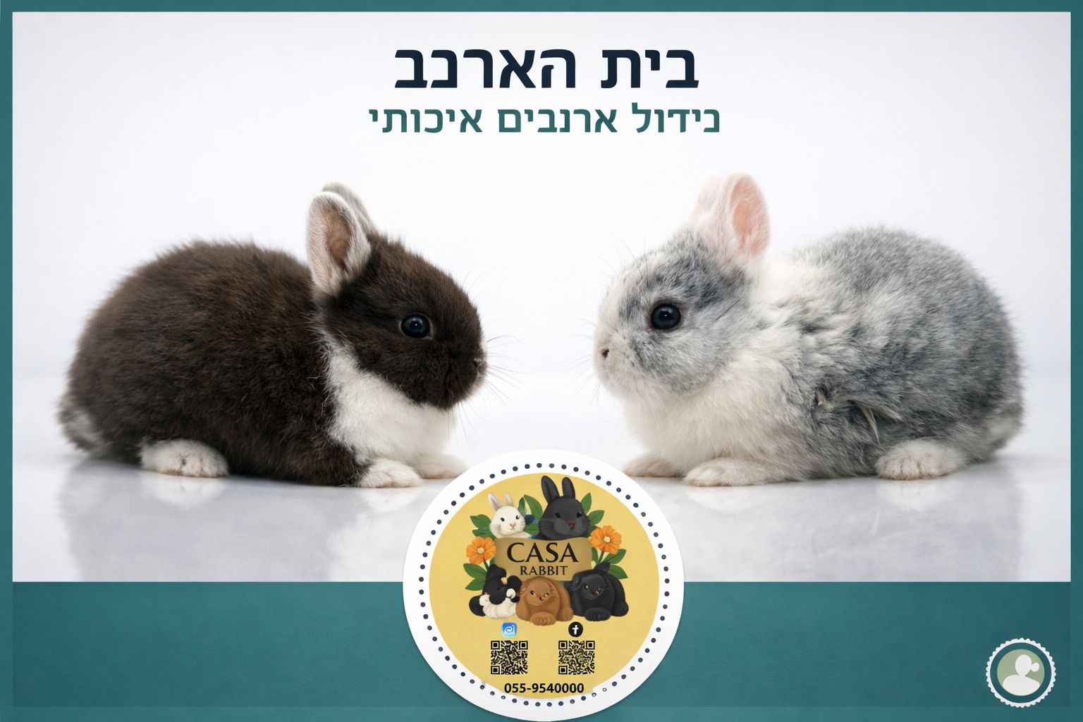 המכרסמים הקטנים שלנו 